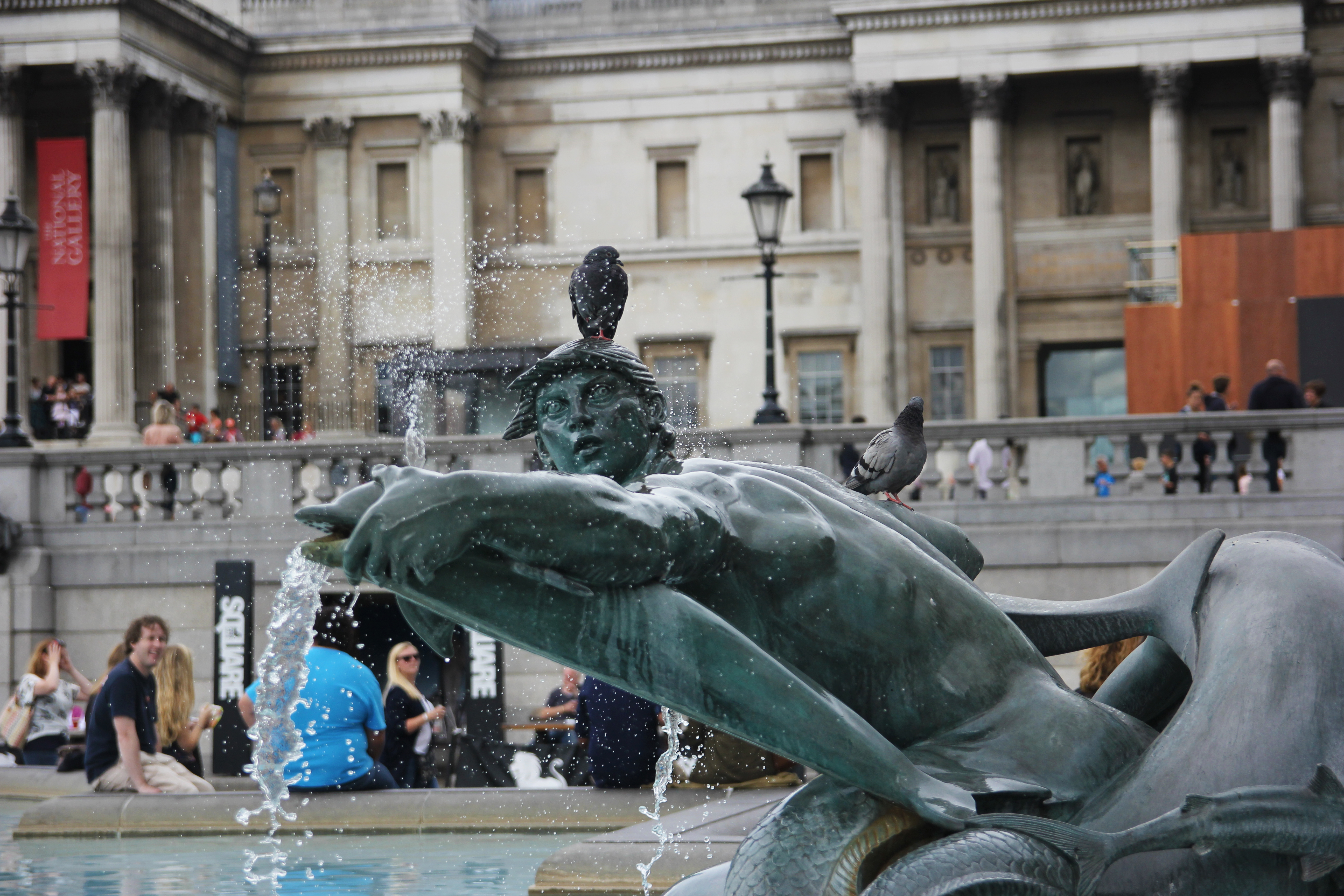 Pigeons taking liberties in Trafalgar Square